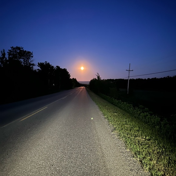 Meet your Posher, Danica - Picture 1 of 1